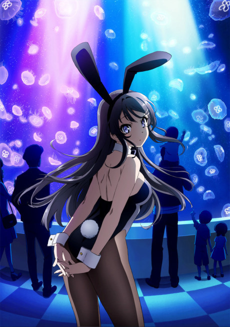Bunny Girl Senpai